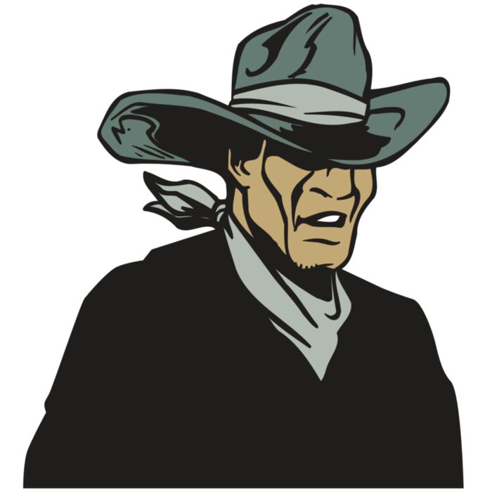 AR COWBOY 29 RC Vignette