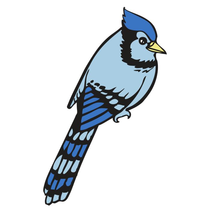 BAW BLUEJAY 08 RC Vignette