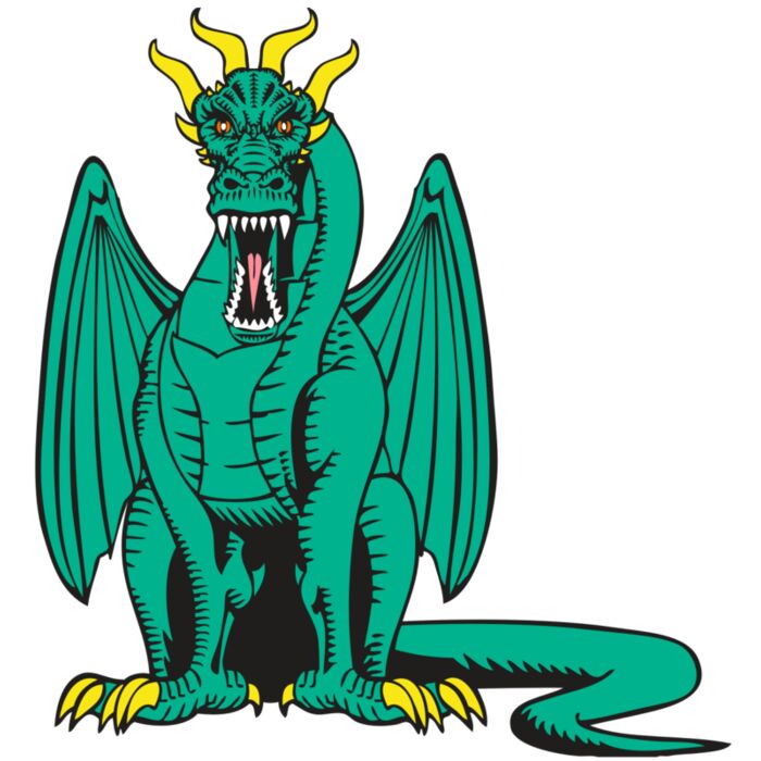 BAW DRAGON 10 RC Vignette