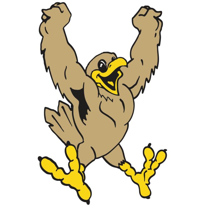 AR EAGLE 21 RC Vignette