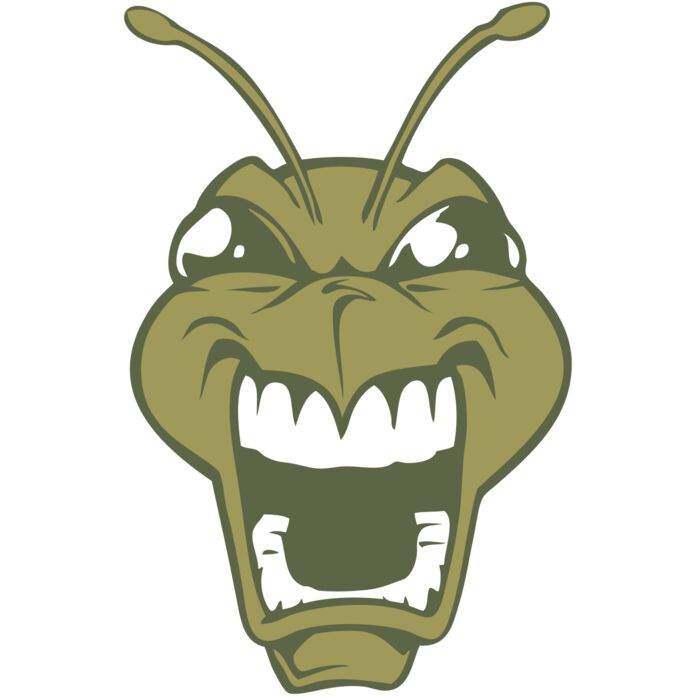 BAW BEE 13 RC Vignette