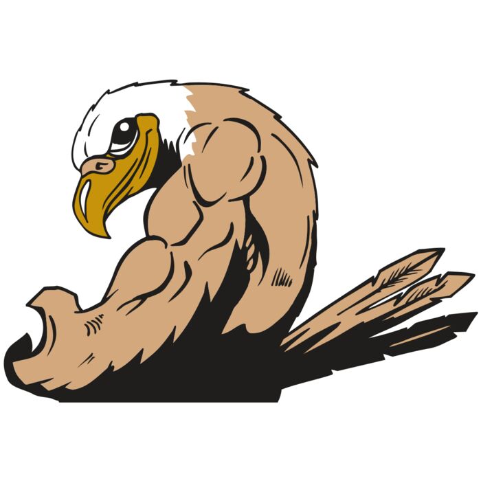 AR EAGLE 85 RC Vignette