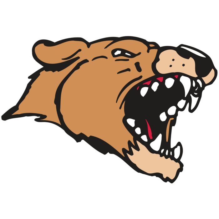 AR5 COUGAR 33 RQC Vignette