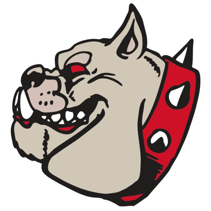 AR BDOG 47 RC Vignette