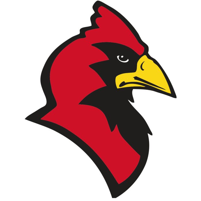 AR CARDINAL 20 RC Vignette