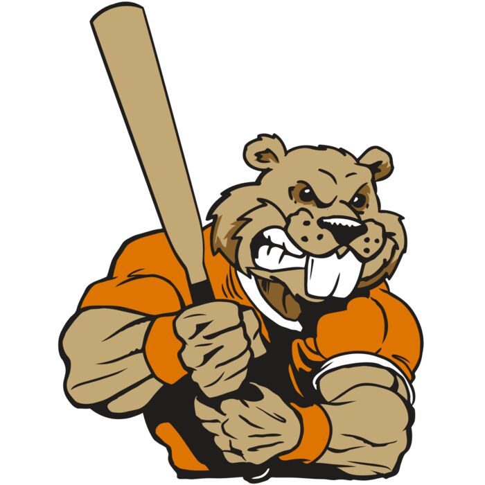 AR4 BEAVER 04 RQC Vignette