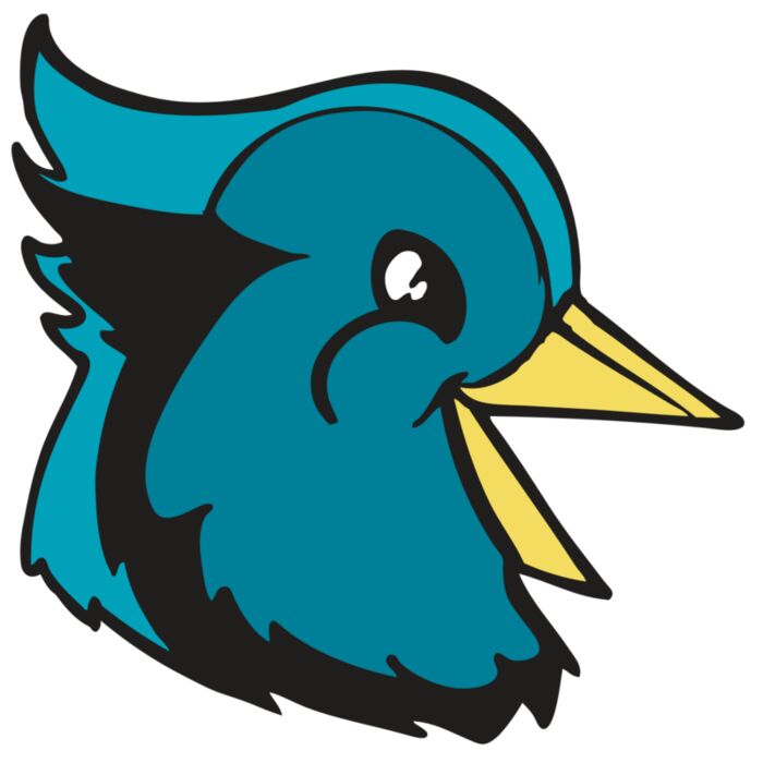 BAW BLUEJAY 11 RC Vignette