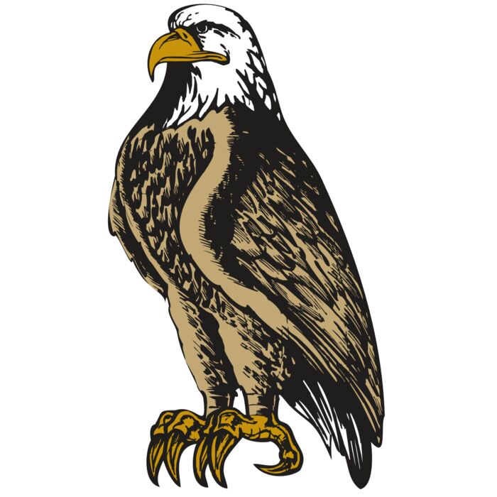 BAW EAG 02 RC Vignette