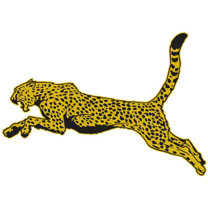 AR CHEETAH 10 RC Vignette