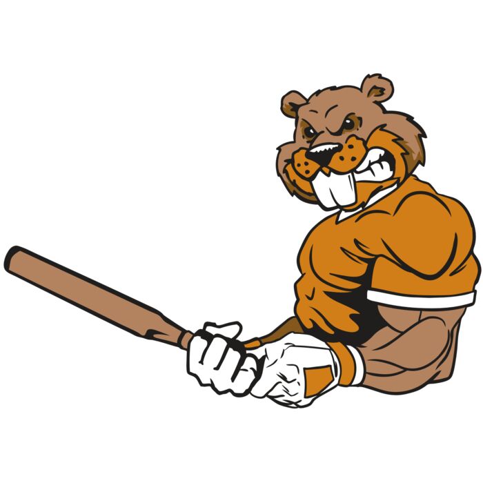 AR4 BEAVER 05 RQC Vignette