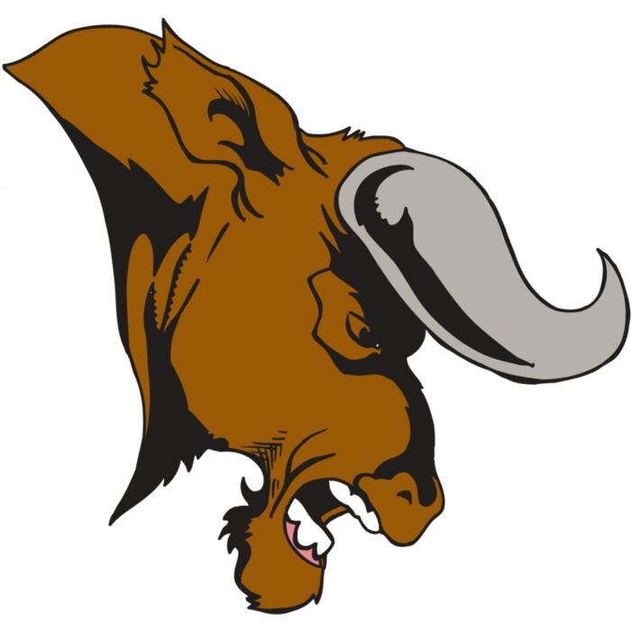 AR5 BULL 07 RQC Vignette