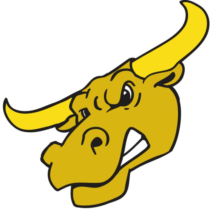 AR BULL 29 RC Vignette