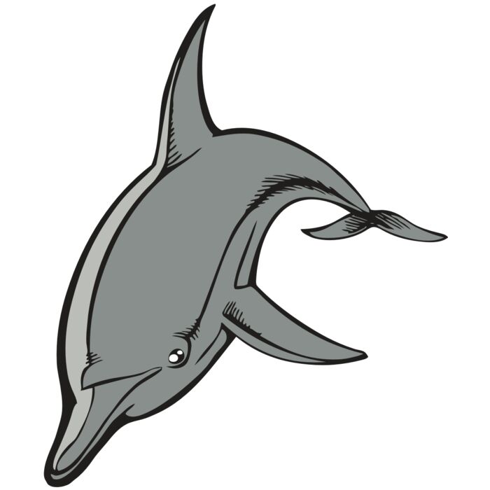 BAW DOLPHIN 03 RC Vignette