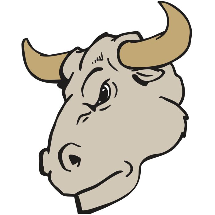 AR BULL 25 RC Vignette