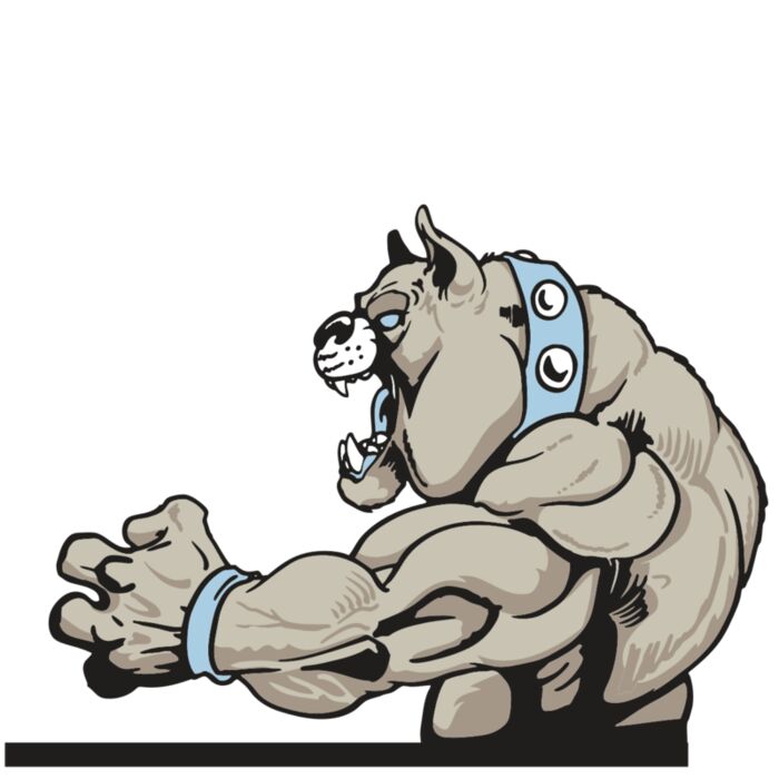 AR BDOG 56 RC Vignette