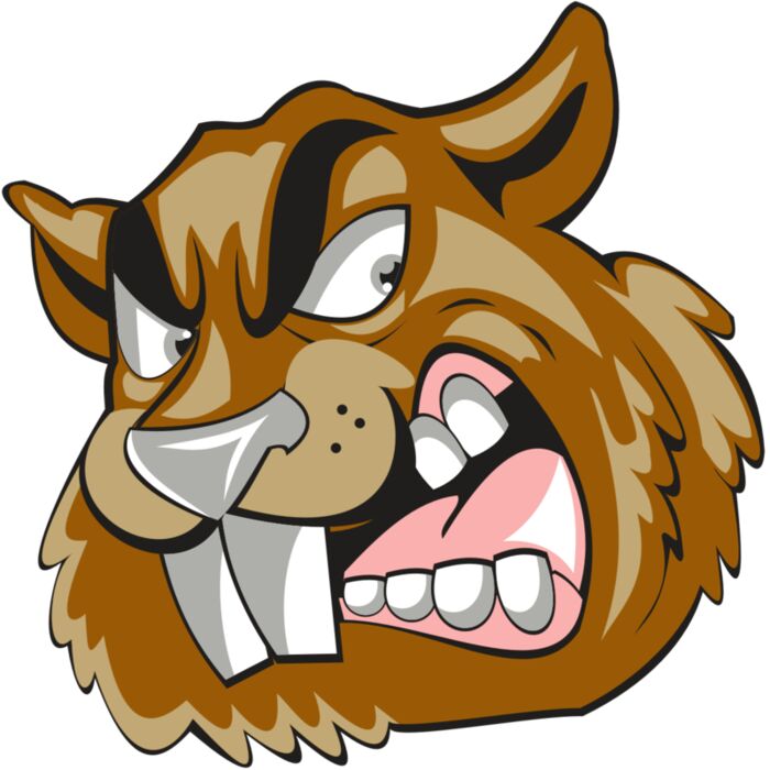 BEAVER HD0504 RQC Vignette