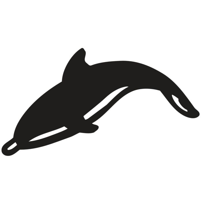 AR DOLPIN 16 RC Vignette