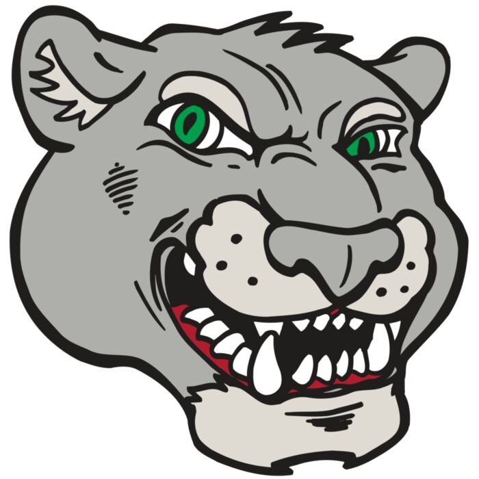 AR5 Cougar 06 RQC Vignette