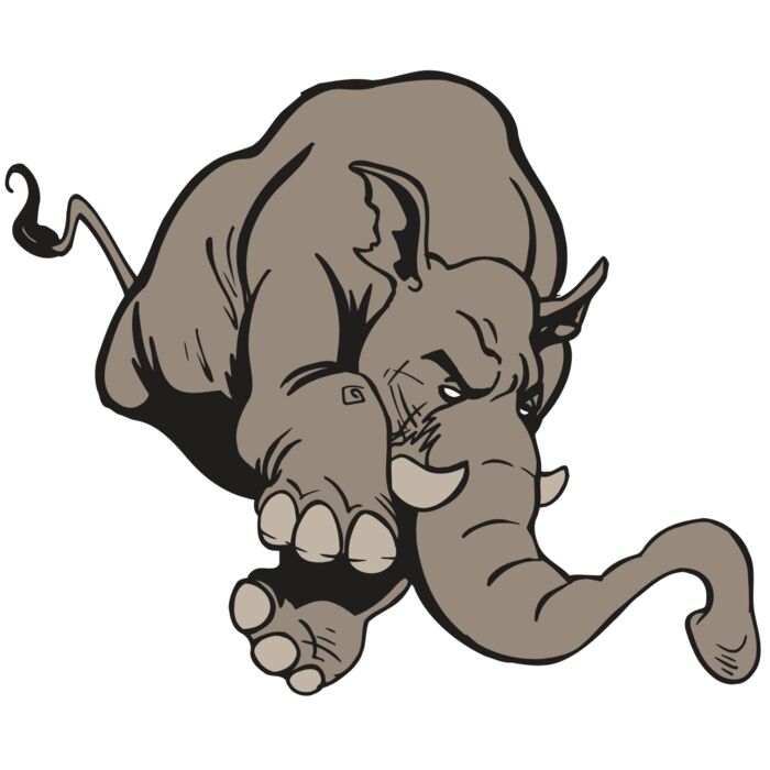 AR5 Elephant 17 RQC Vignette