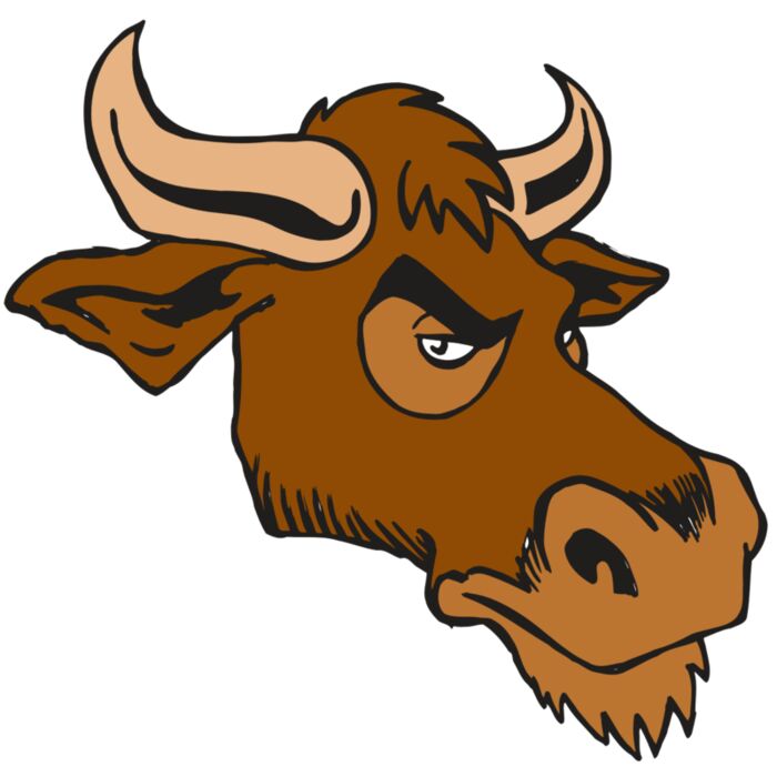AR5 Bull 06 RQC Vignette
