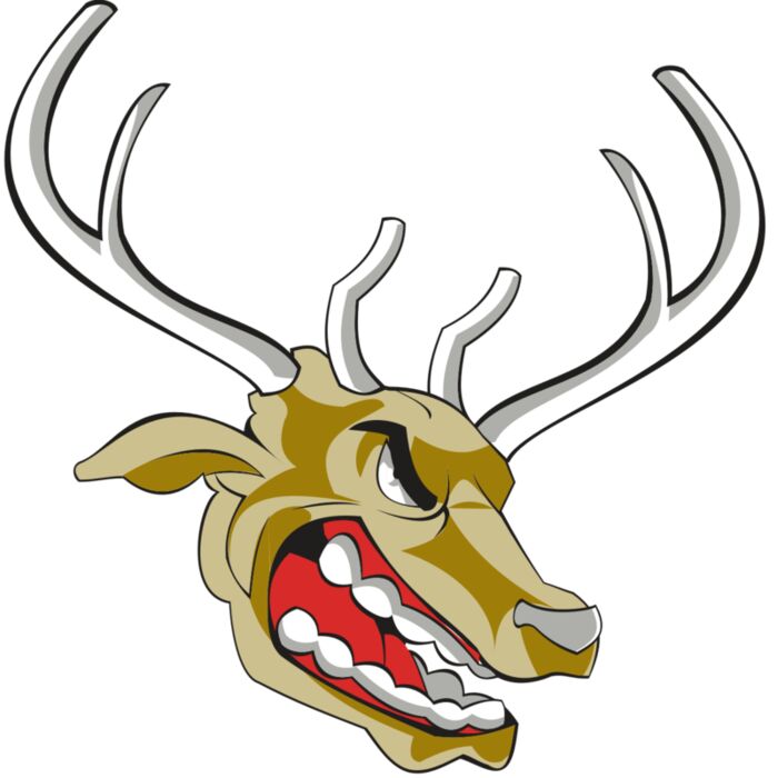 ELK HD0504 RQC Vignette