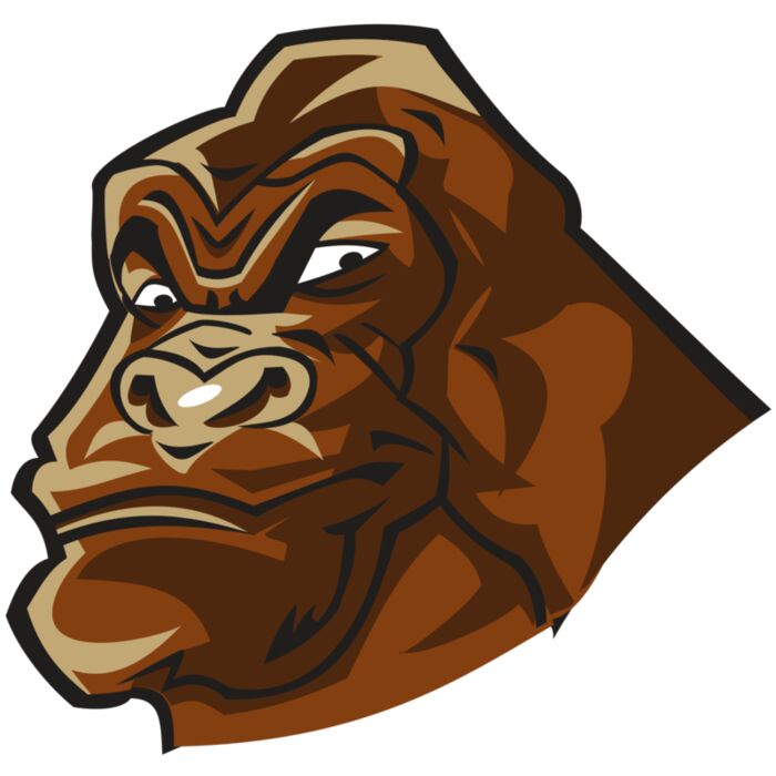 GORILLA HD0503 RQC Vignette