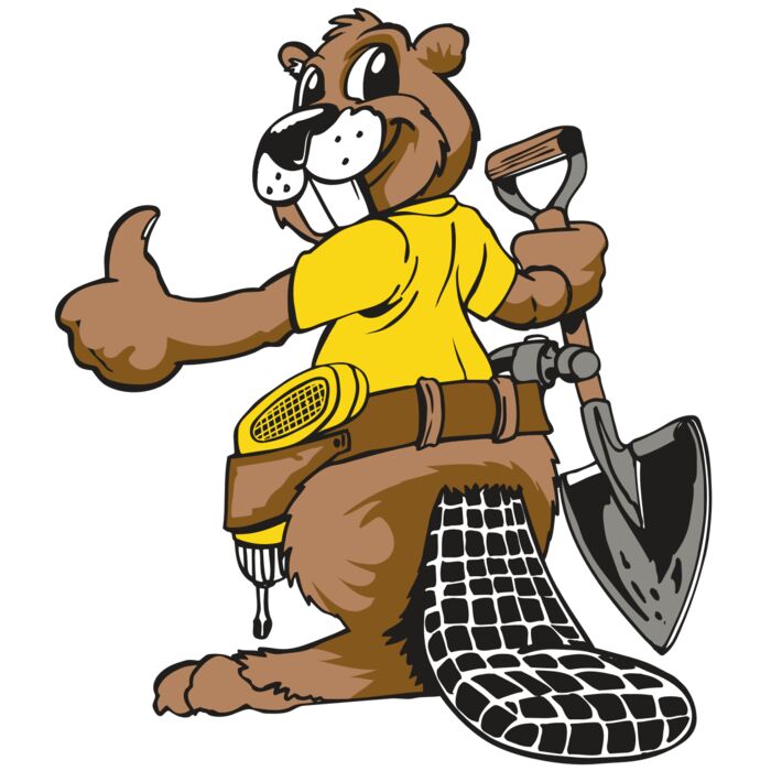 AR BEAVER 12 RC Vignette