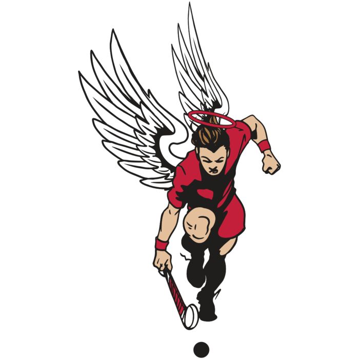 AR17 ANGEL FLD HKY 03 RQC Vignette