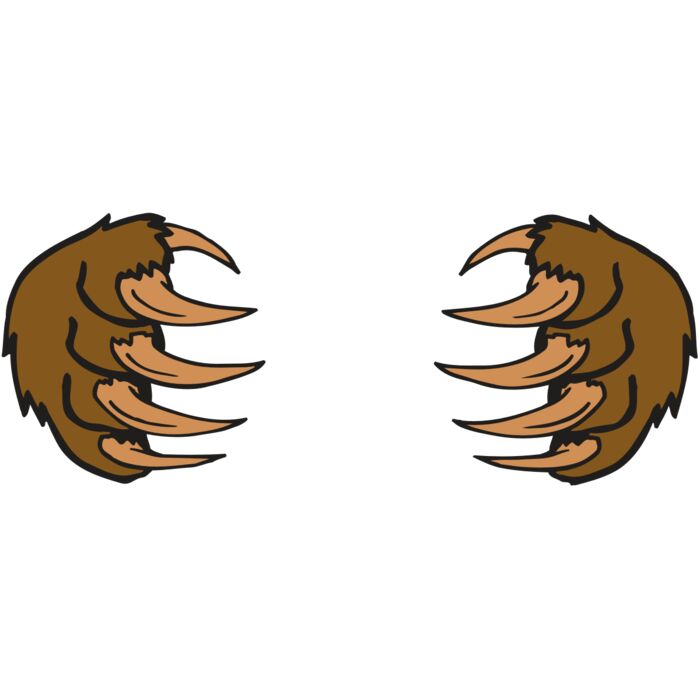 AR BEAR 05 RC Vignette