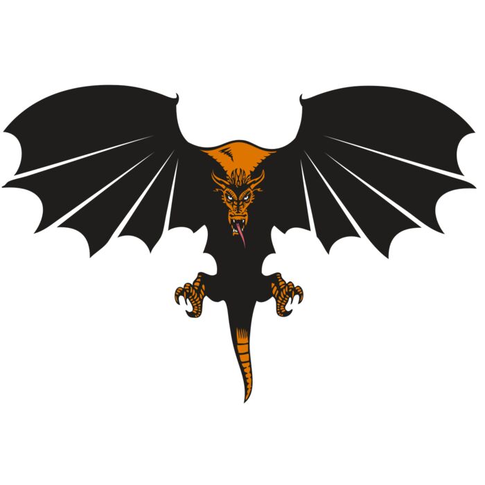 BAW DRAGON 06 RC Vignette