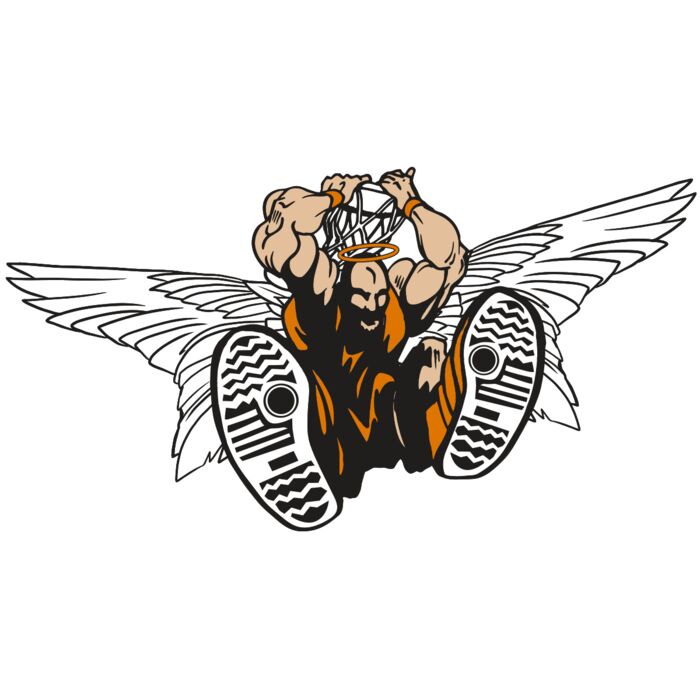 AR17 ANGEL BSKT 07 RQC Vignette