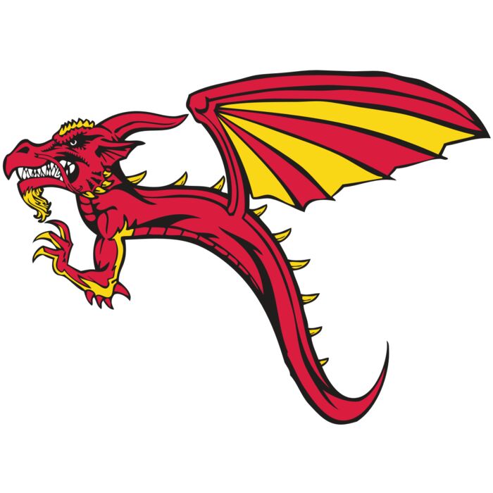 BAW DRAGON 02 RC Vignette