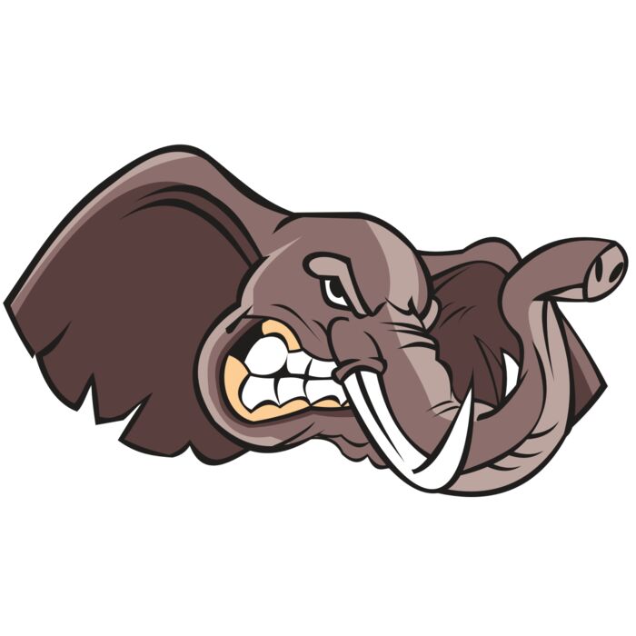 ELEPHANT HD0501 RQC Vignette