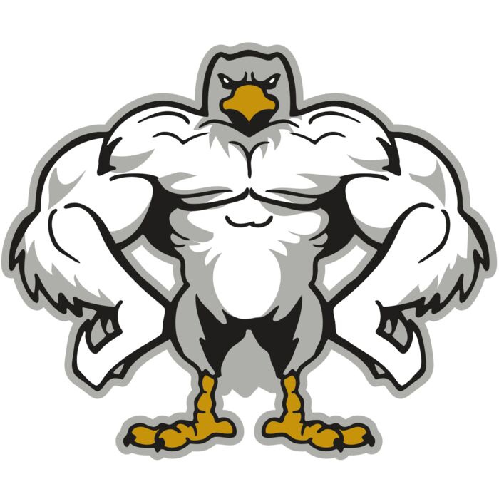 AR EAGLE 34 RC Vignette