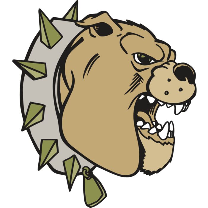 AR BDOG 39 RC Vignette