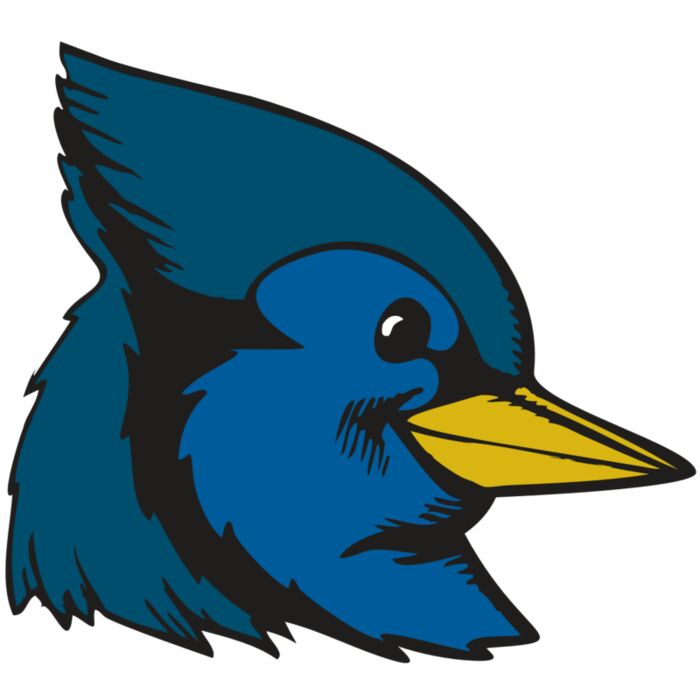 BAW BLUEJAY 07 RC Vignette