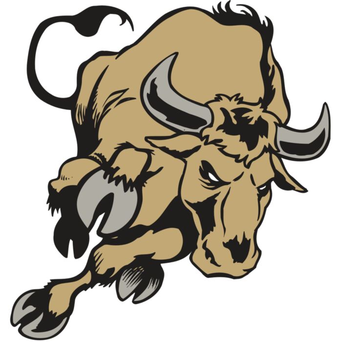 AR BULL 51 RC Vignette