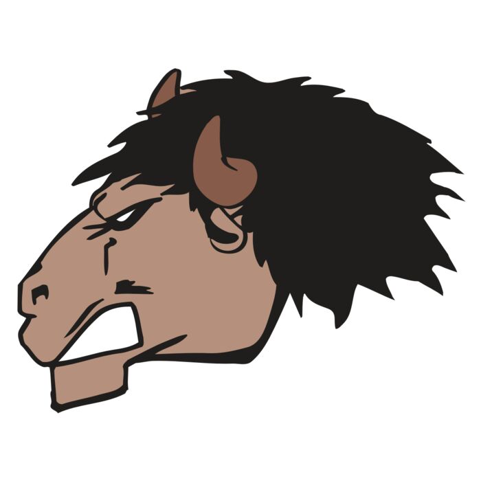 AR BUFFALO 18 RC Vignette