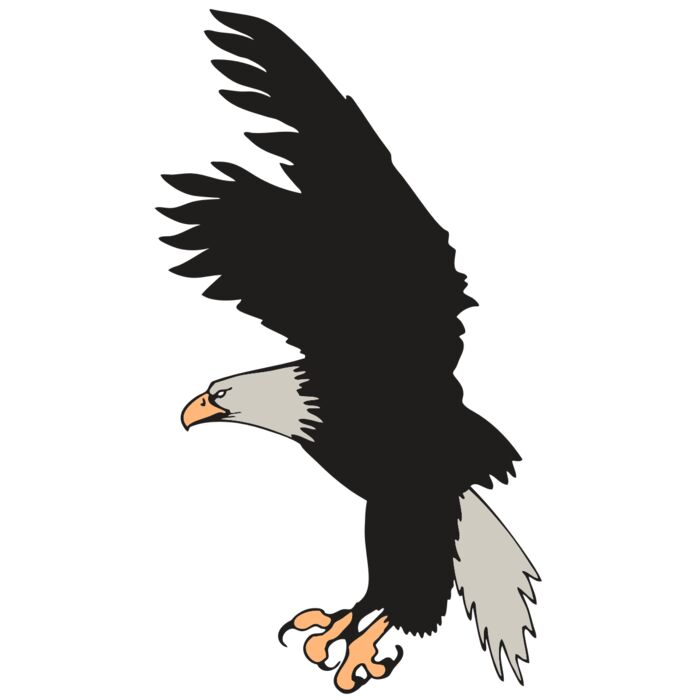 AR EAGLE 91 RC Vignette