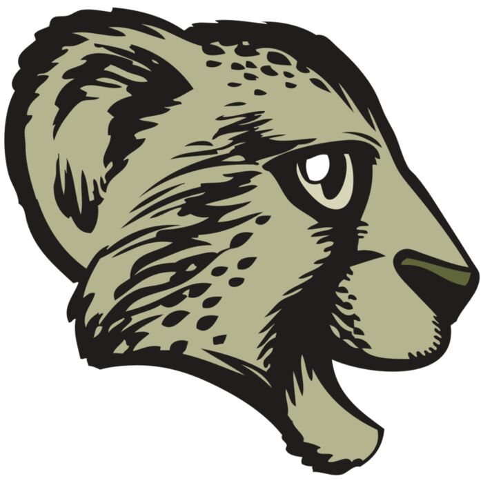 BAW CHEETAH 17 RC Vignette