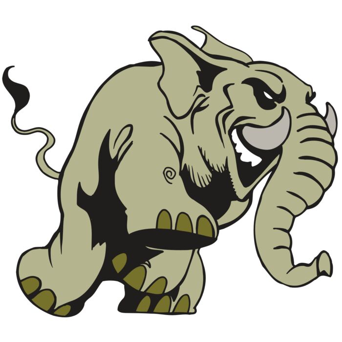 AR5 Elephant 16 RQC Vignette