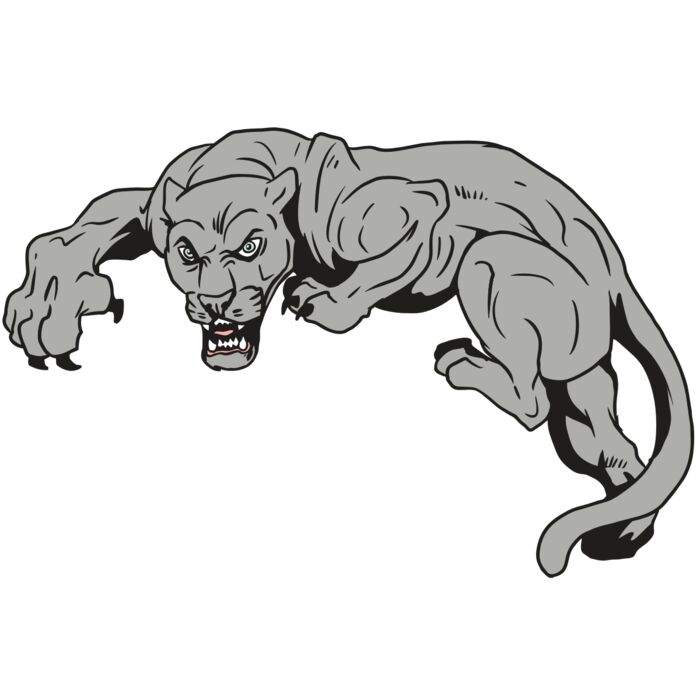 AR10 PANTHER 02 RQC Vignette