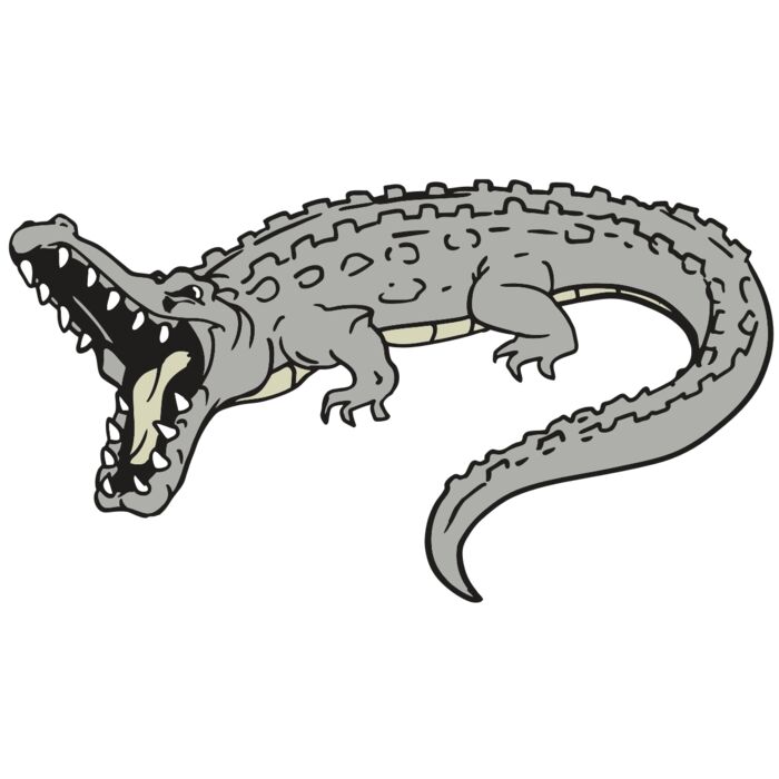 AR GATOR 53 RQC Vignette