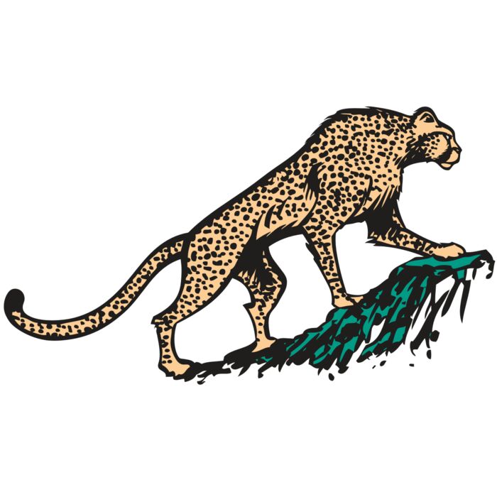 AR CHEETAH 02 RC Vignette