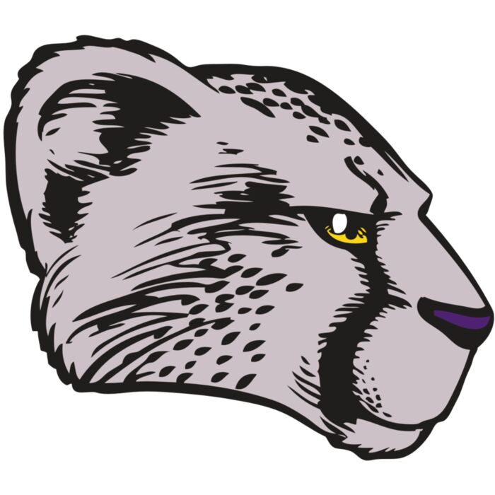 BAW CHEETAH 20 RC Vignette