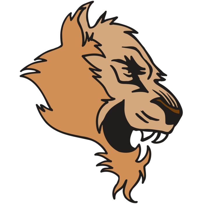 AR5 COUGAR 15 RQC Vignette