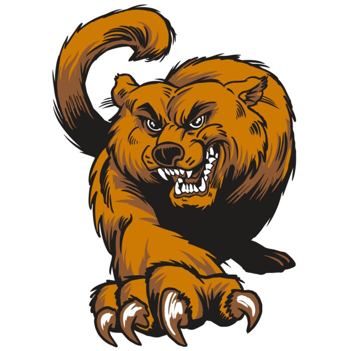 AR22 BEARCAT 05 RQC Vignette