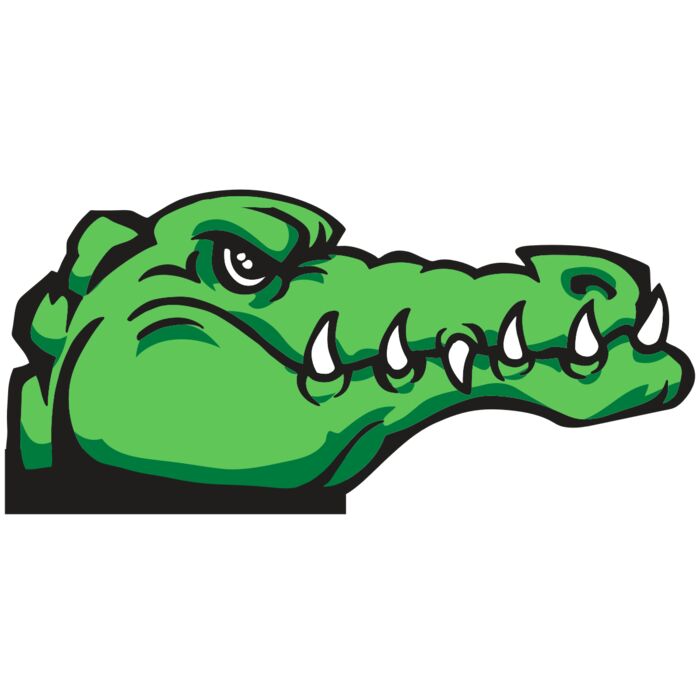 AR GATOR 15 RQC Vignette