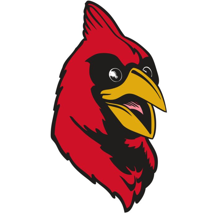 BAW CARDINAL 05 RC Vignette