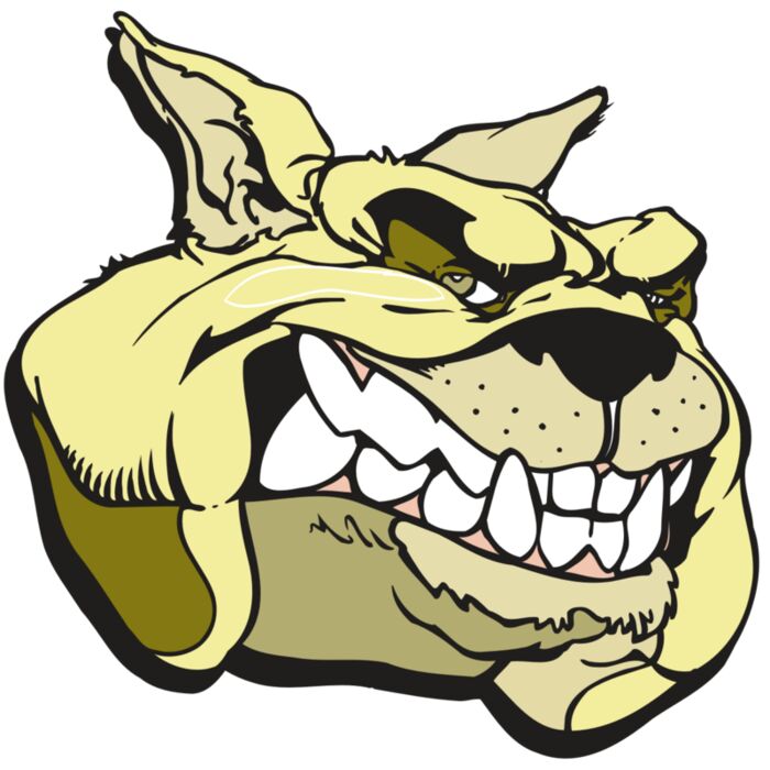 AR5 BULLDOG 02 RQC Vignette